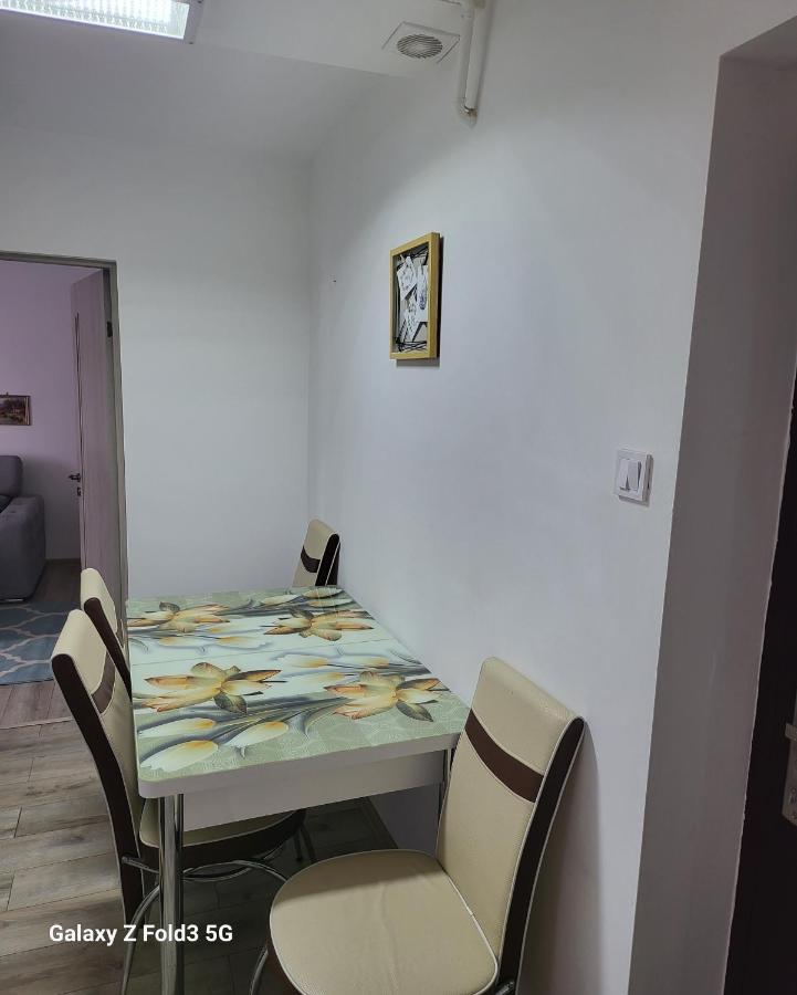 Apartament In Bucovina, Campulung Moldovenesc, Impecabil . Apartment Exterior photo